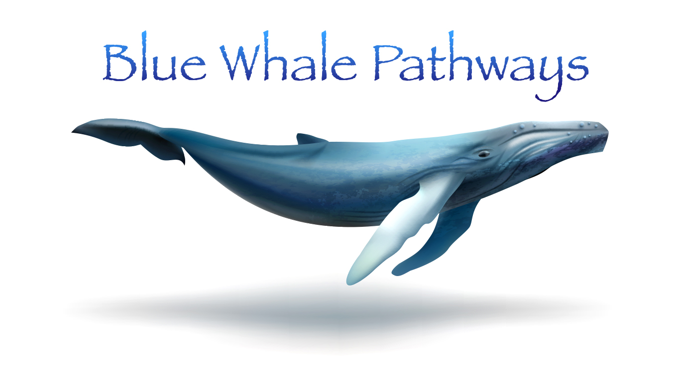 Blue What Pathways
